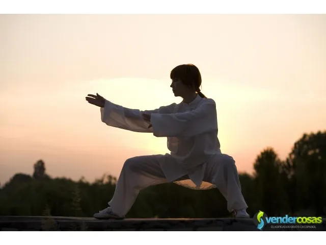 Aprende artes marciales sanda y kung fu 1
