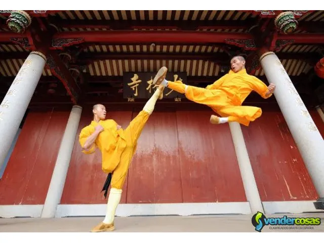 Artes marciales kung fu shaolin 1