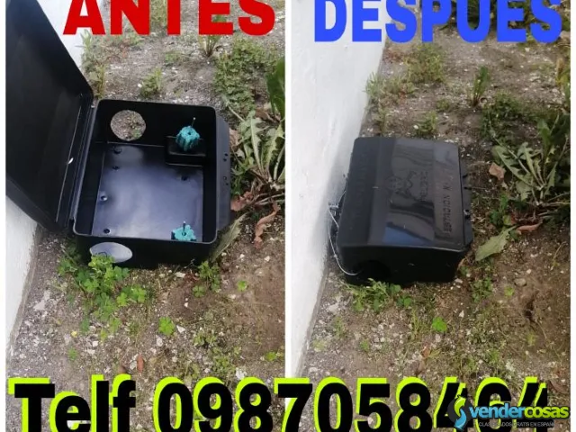 Control de plagas en Tumbaco teléf 0987058464 - Tumbaco - Vender Cosas_id25774-2