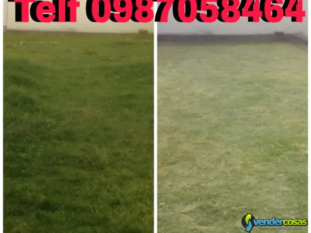 Corte de Césped en Monte Serrín Teléf 0983439614 - Monteserrin Pichincha - Vender Cosas_id25783-2