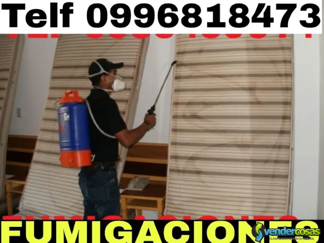 Fumigaciones en Conocoto teléf 0987058464 - Conocoto - Vender Cosas_id25774-2