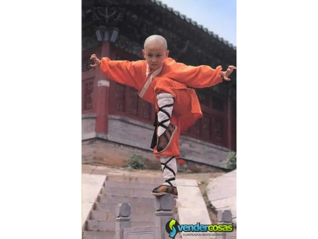 Kung fu,sanda y taiji 1