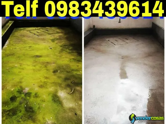 Limpieza de Subsuelos en la Carolina Teléf 0983439614 - Carcelén, Pichincha - Vender Cosas_id25783-1