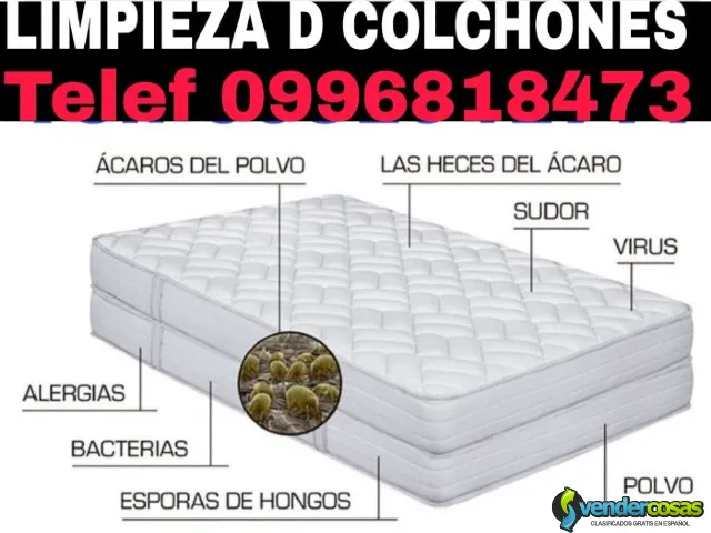 Limpieza profunda de Colchones en Puembo Teléf 0983439614 - Puembo, Pichincha, Ecuador - Vender Cosas_id25779-1