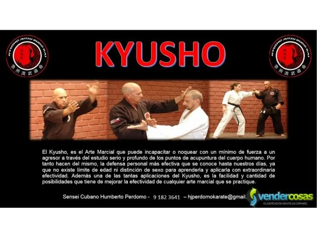 No mas violencia y asaltos aprende a defenderte con kyusho 1
