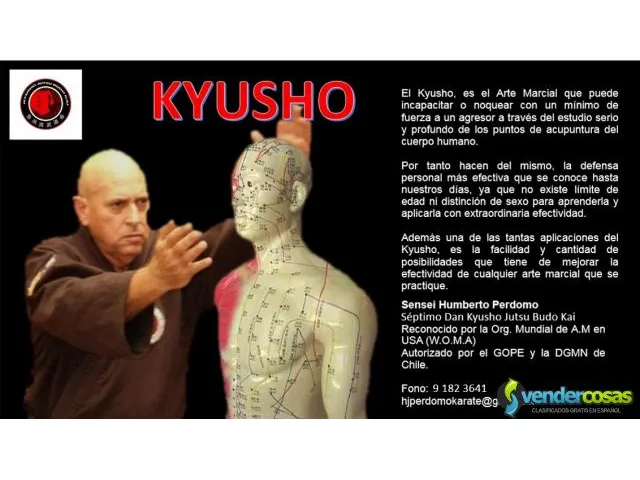 No mas violencia y asaltos aprende a defenderte con kyusho 2