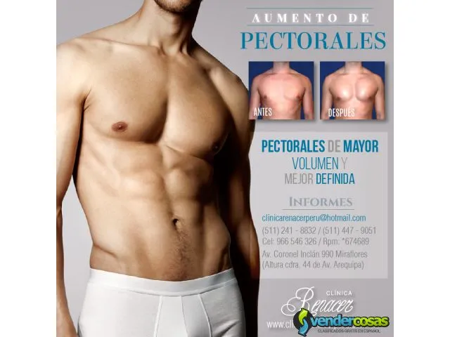 Pectorales definido y musculoso - clínica renacer 1