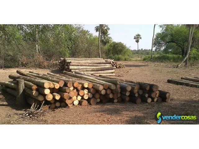 Postes troncos de palmeras 1