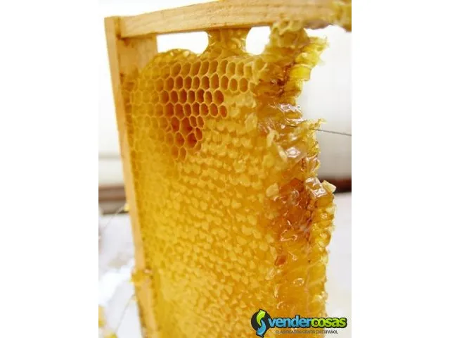 Productos derivados de la miel de abejas 3