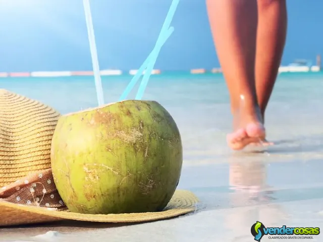 Ya tienes tu Ticket para viajar a Republica Dominicana? - Punta Cana, La Altagracia - Vender Cosas_id25684-1
