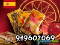 Amor, Dinero, Trabajo: El Tarot Responde