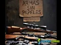 ARMAS SIN PAPELES ONLINE