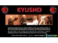 No mas violencia y asaltos aprende a defenderte con kyusho